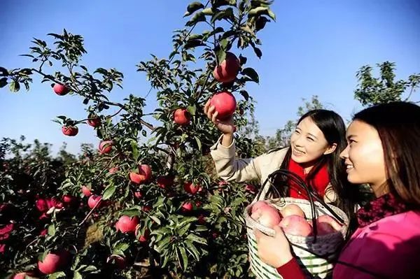 图示, 示意图&#10;&#10;中度可信度描述已自动生成:ver1