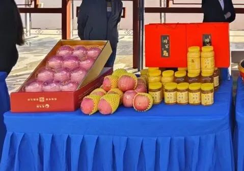 图示, 示意图&#10;&#10;中度可信度描述已自动生成:ver1