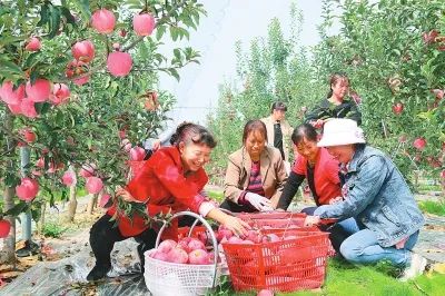 图示, 示意图&#10;&#10;中度可信度描述已自动生成:ver1