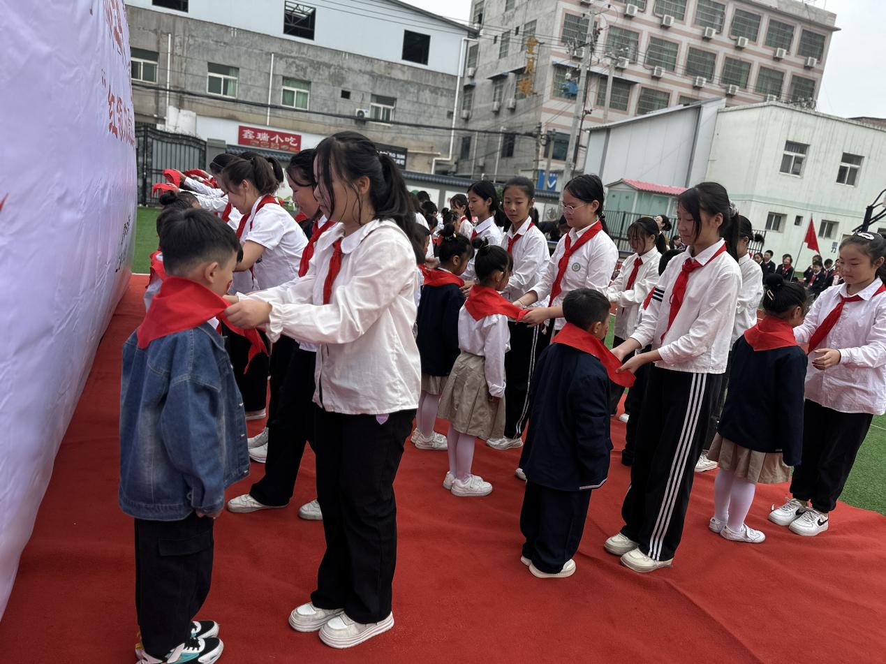 微信图片_20241014101335