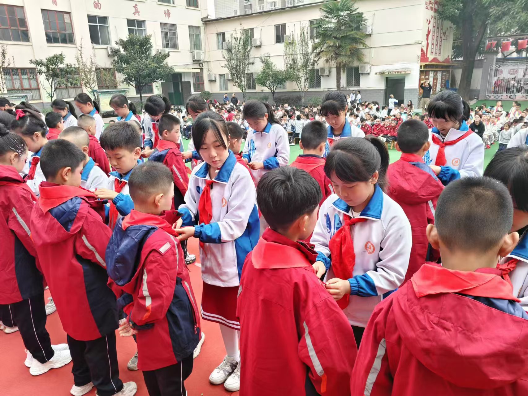 微信图片_202410171454451