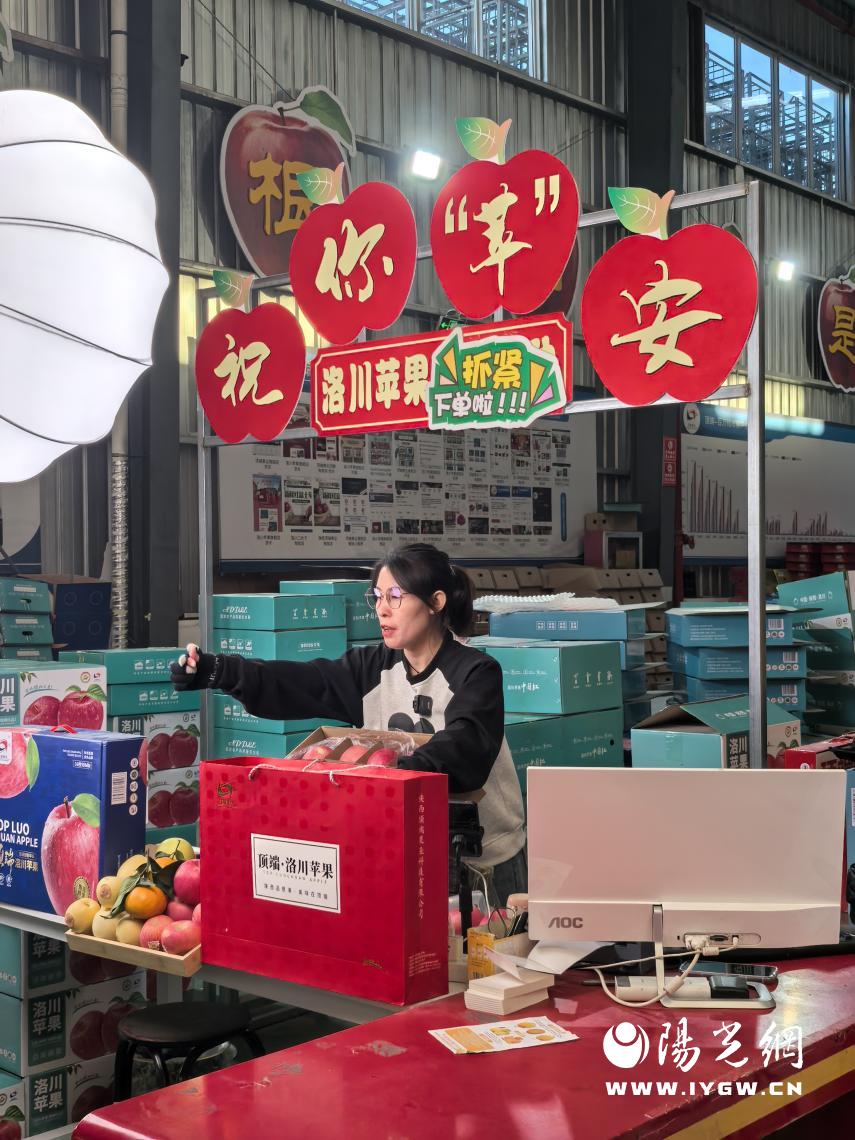 说明: 微信图片_20241023095352