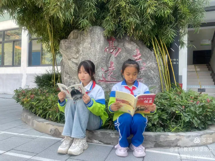 说明: ee642ff176d1430a2b4c20148f78ccd672f007a6