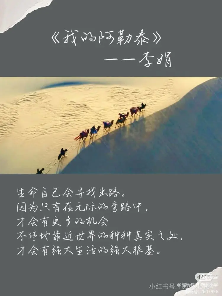 说明: 1d38f95348f9835e3b7f1563a80368d6926ace47