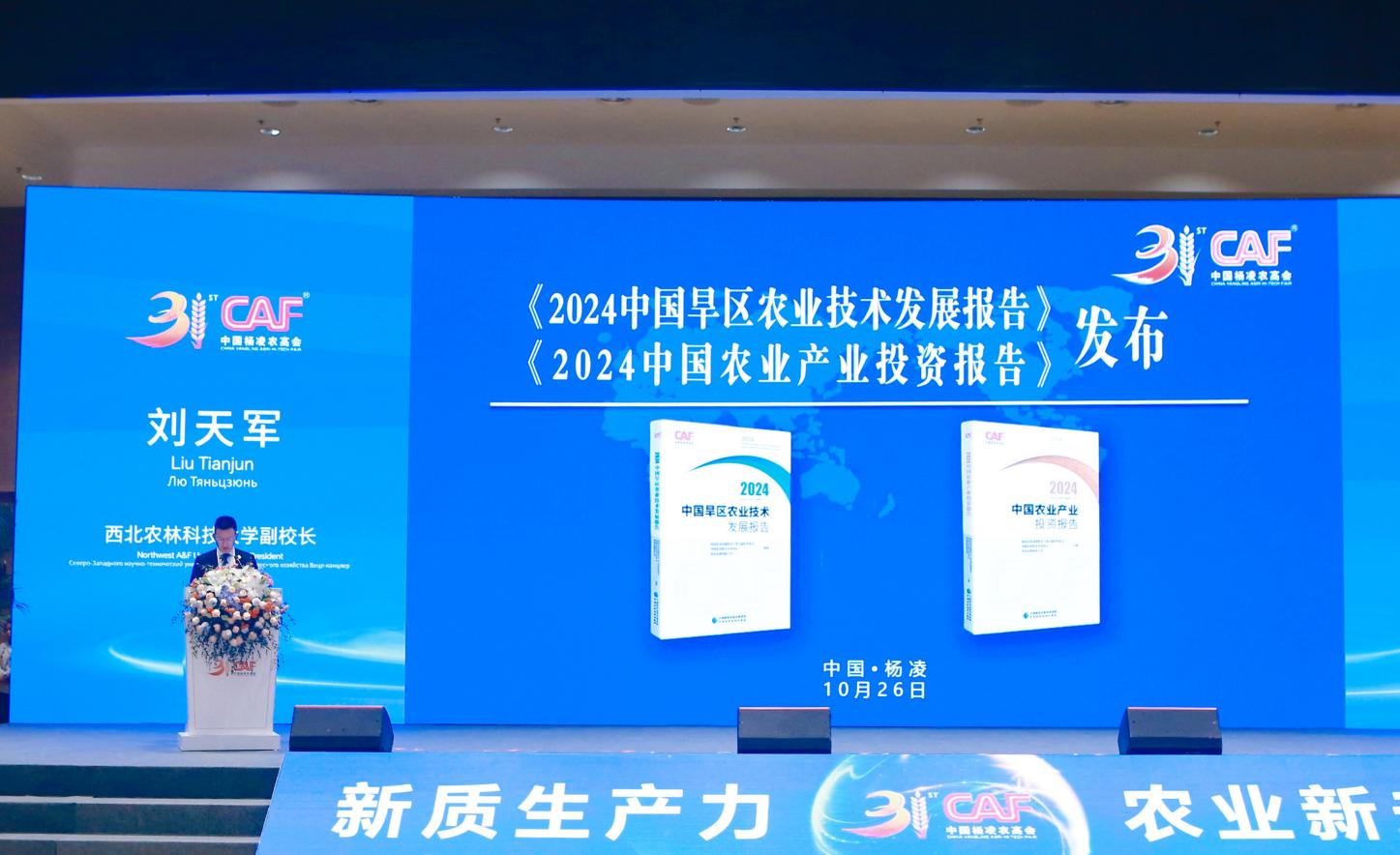 Mix_20241026_104623-opq3269856302_副本