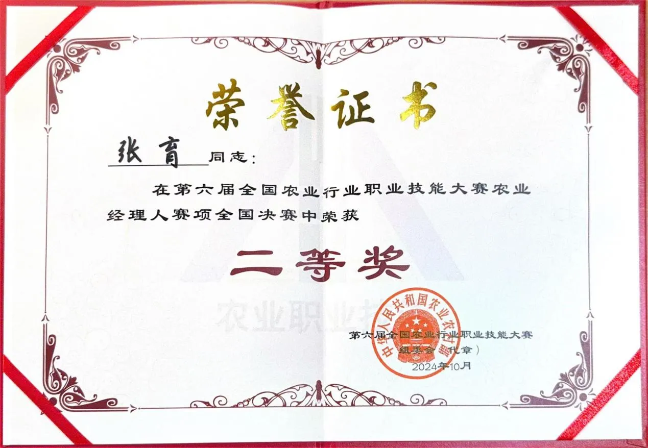 图示, 示意图&#10;&#10;中度可信度描述已自动生成:ver1