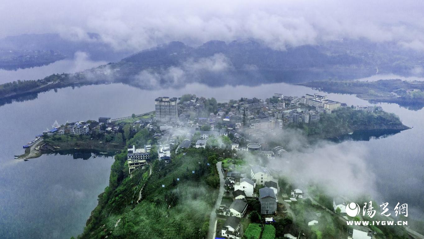 微信图片_20241113102216