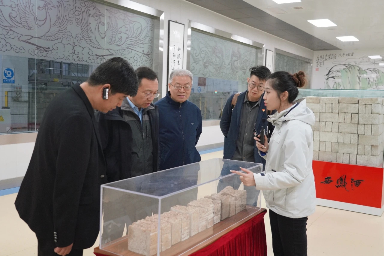 图示, 示意图&#10;&#10;中度可信度描述已自动生成:ver1
