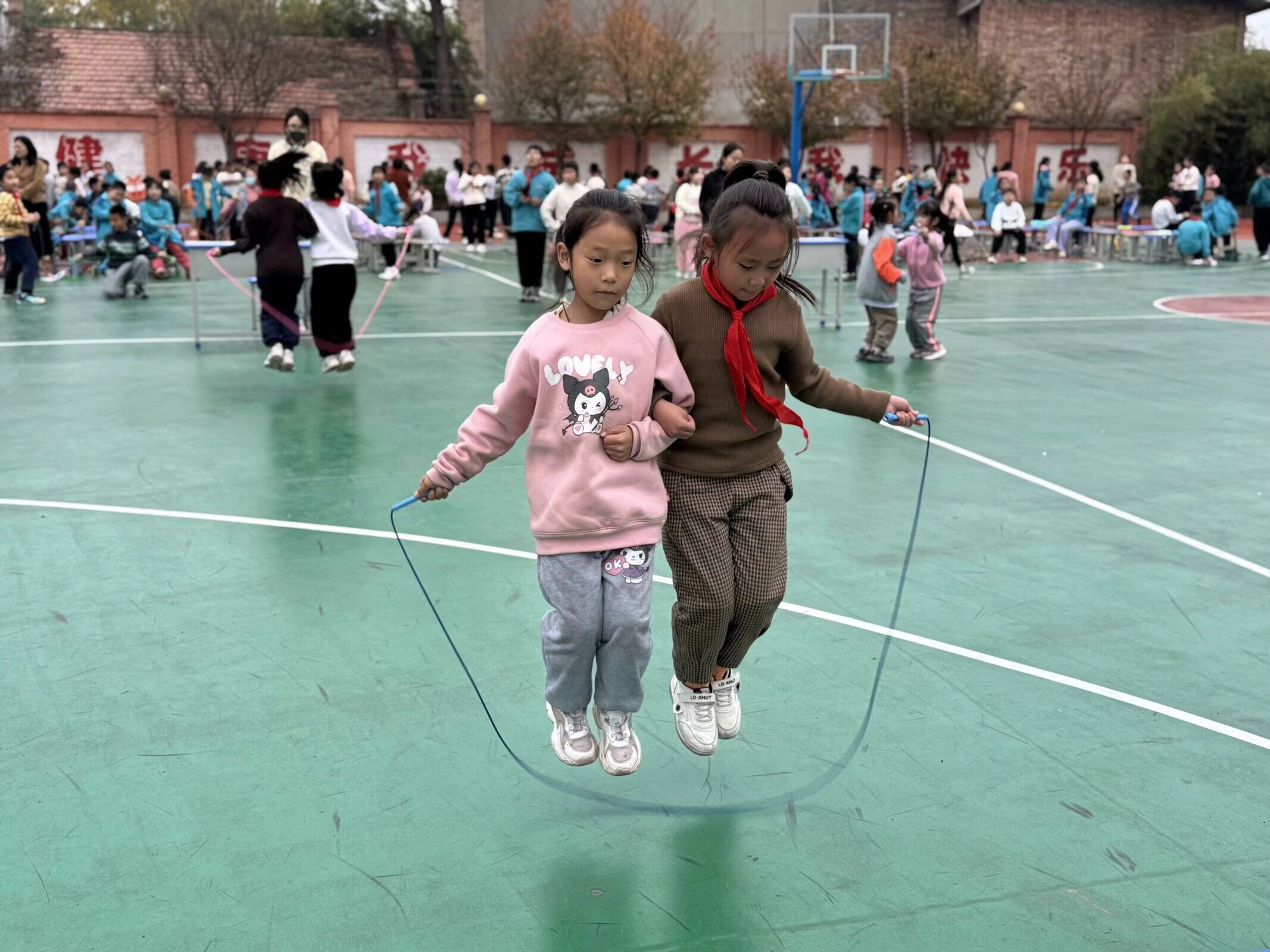 QQ图片20241115161426