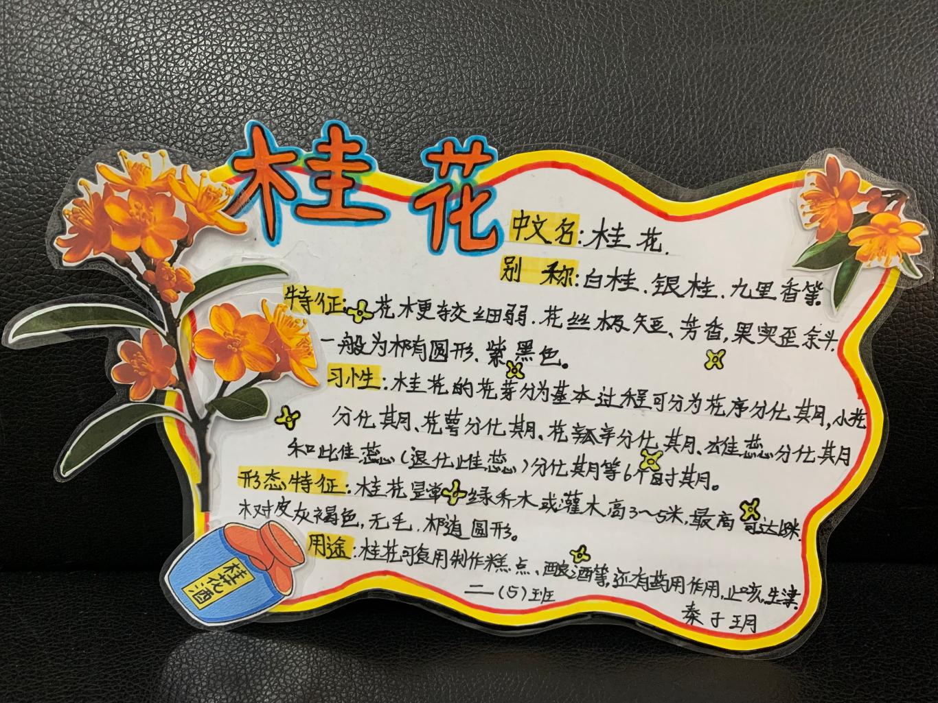 19fc85966c83d69d3e1f6f19f17ca84d