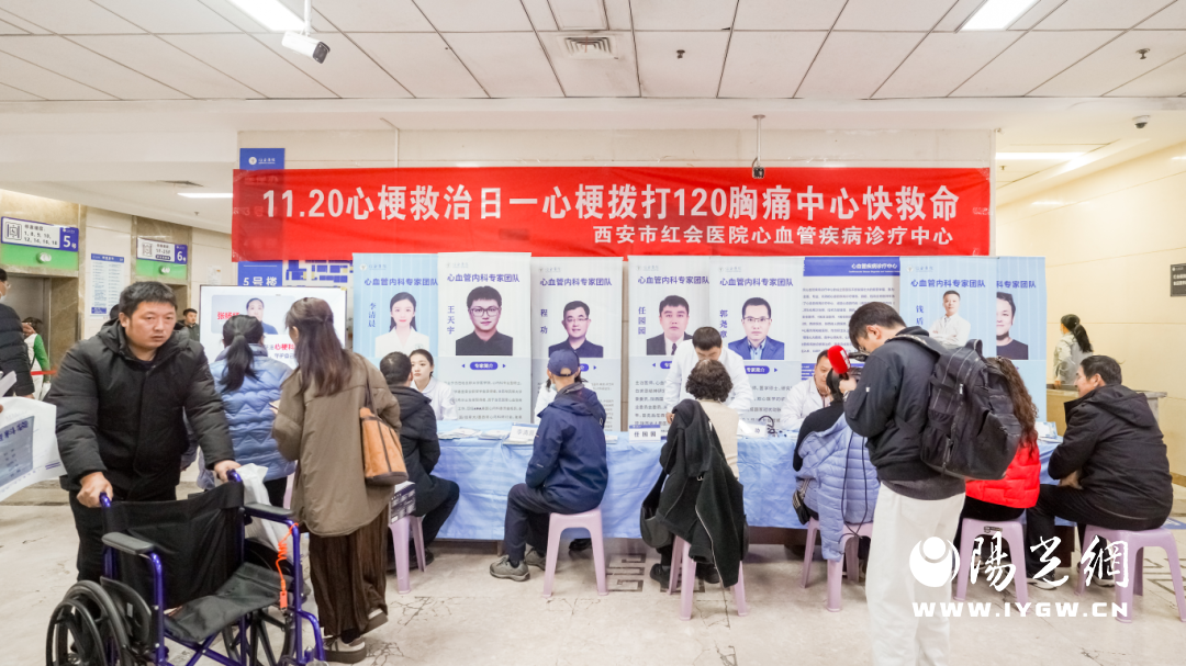说明: IMG_257