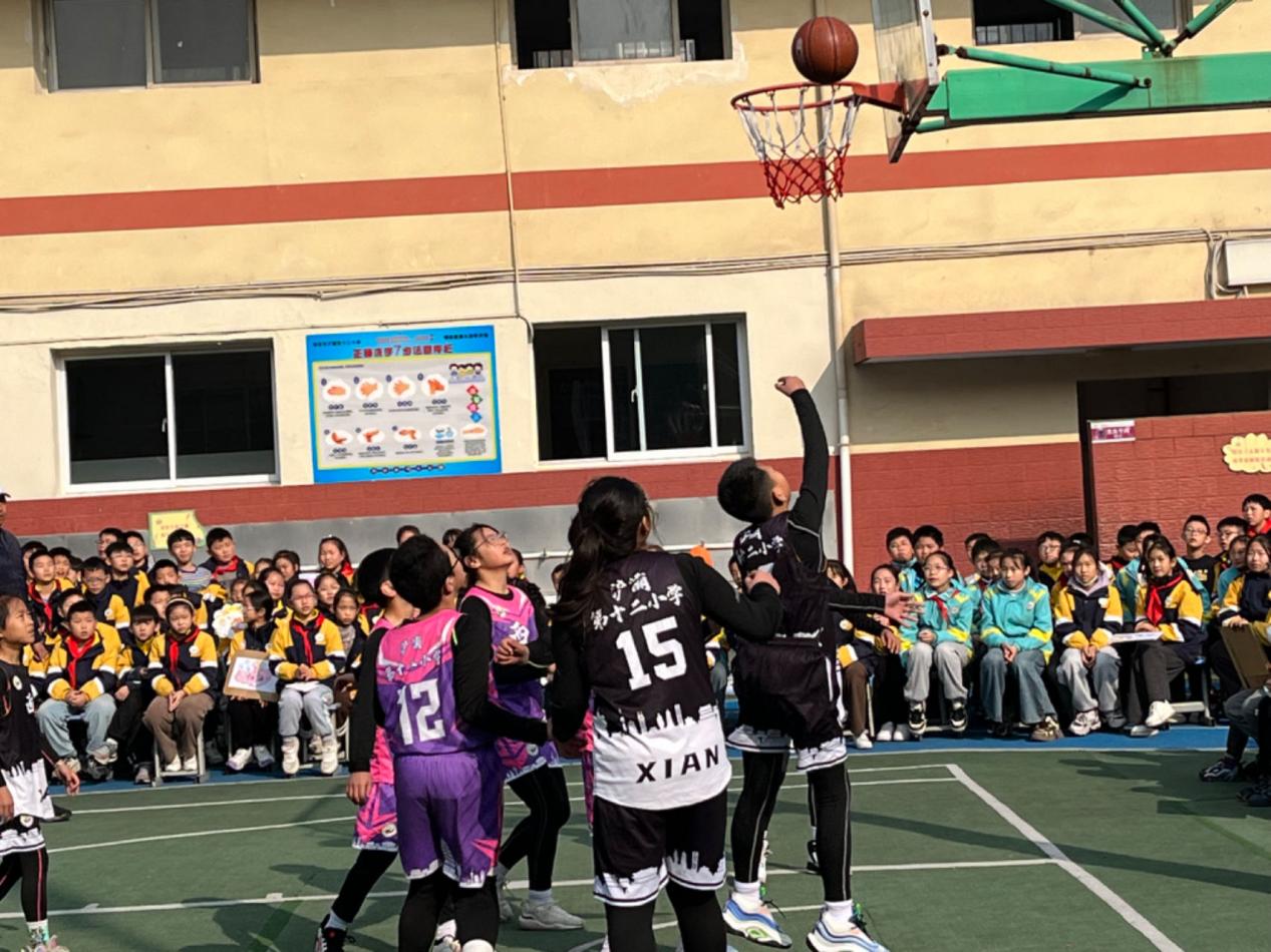 微信图片_20241122195924