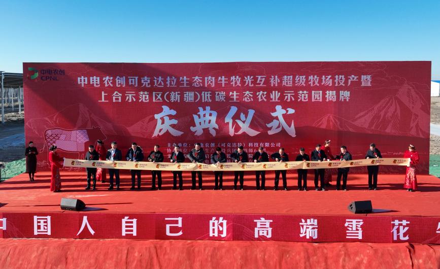 说明: d22bc572ad4515a8d9ee299240348c6