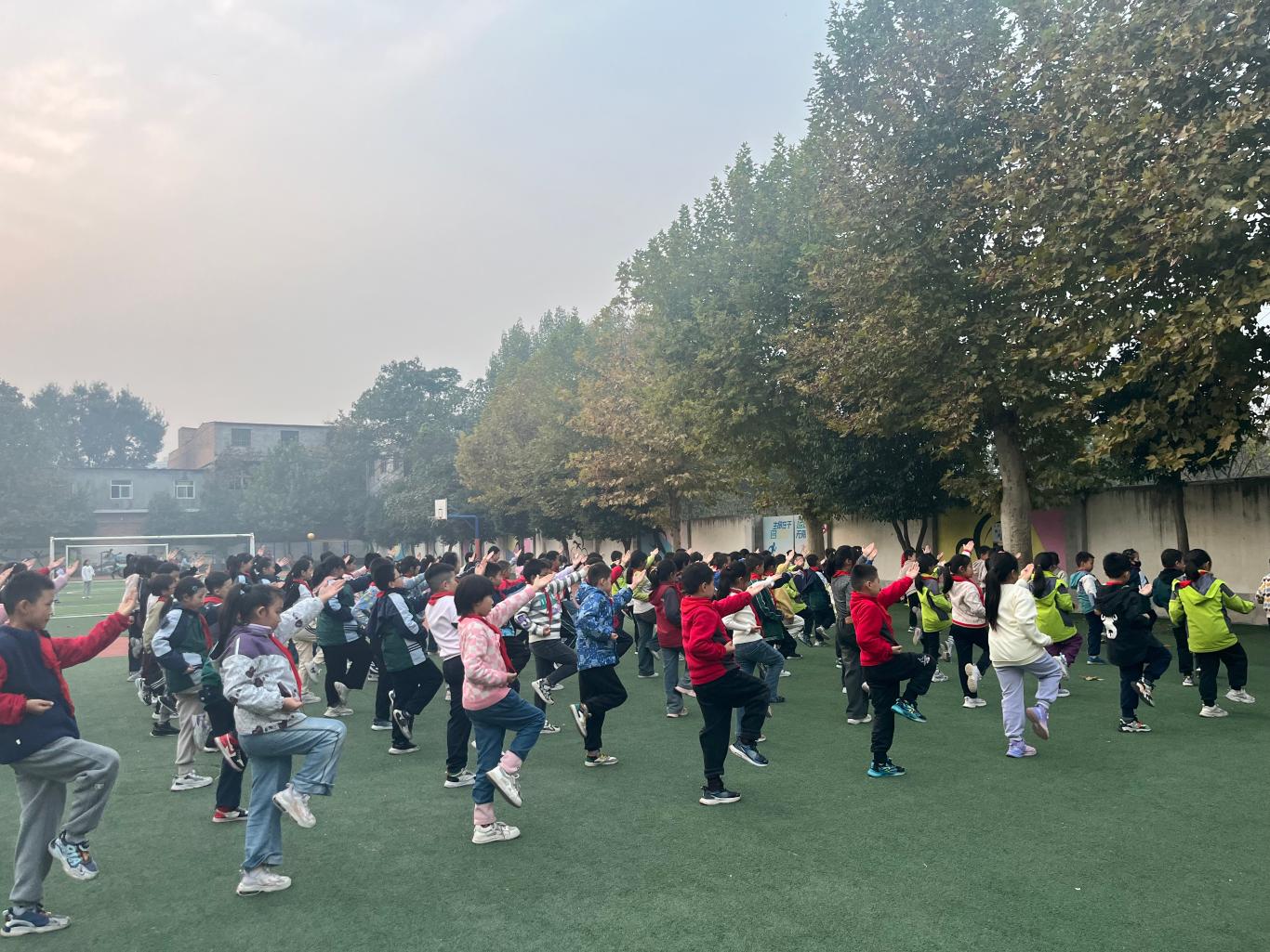 微信图片_20241108174017