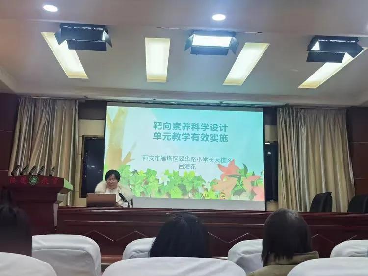 说明: IMG_256