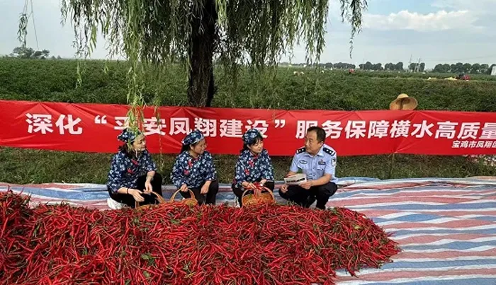 图示, 示意图&#10;&#10;中度可信度描述已自动生成:ver1