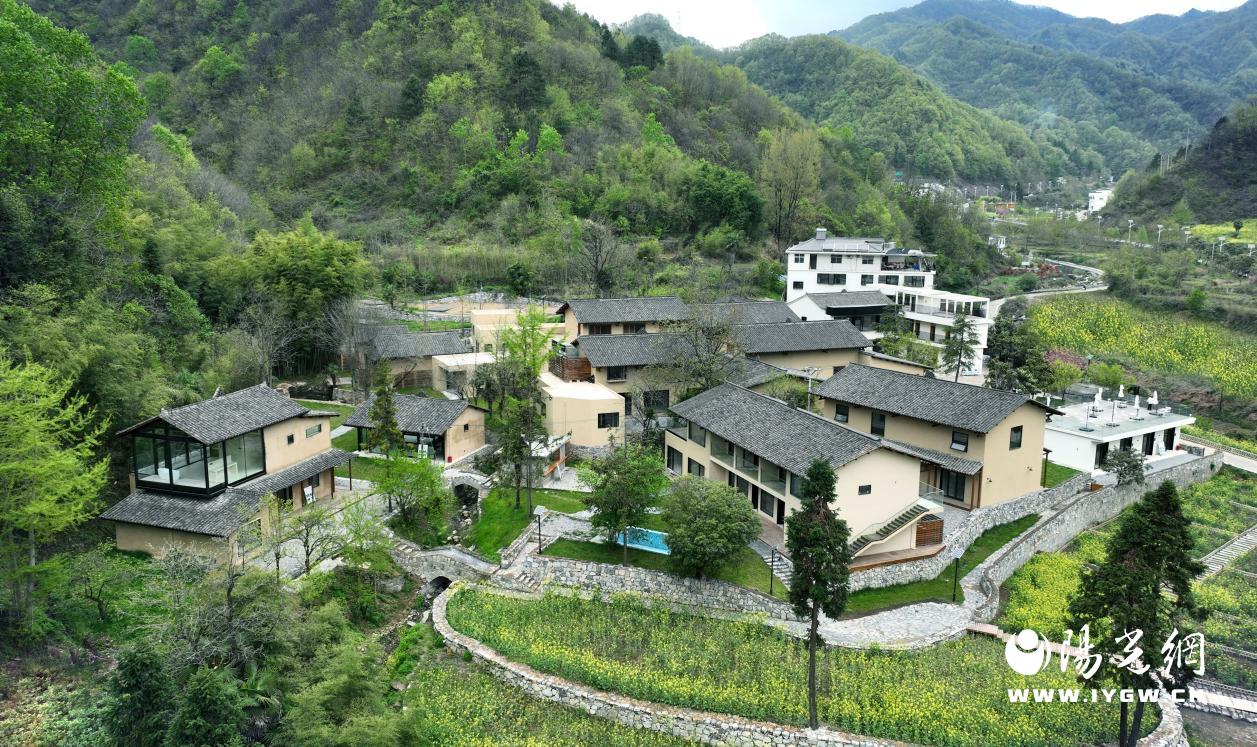 图4 八亩溪谷民宿集群 杨稳摄