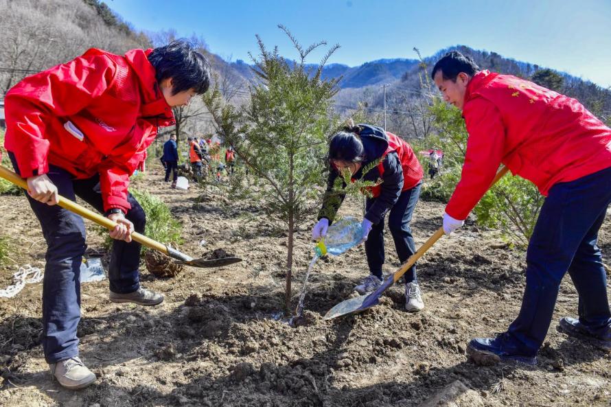 植树节（袁景智拍摄）20240311164726