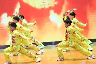 武术4