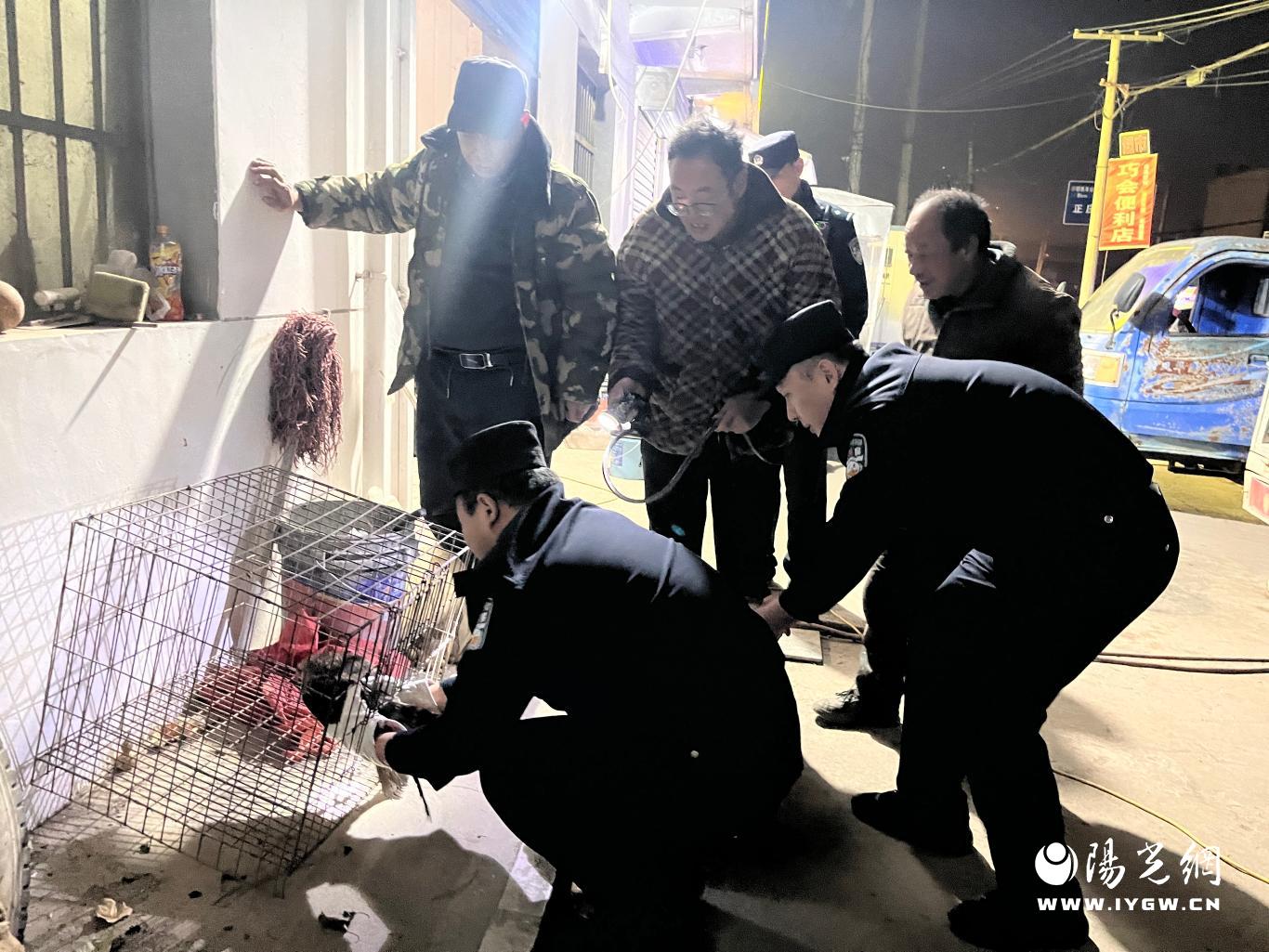 微信图片_20250106203837