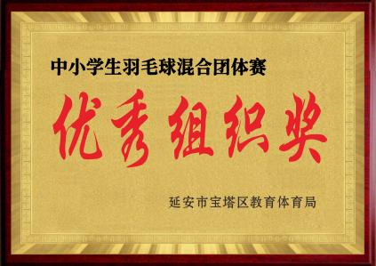 宝塔区羽毛球混合团体赛