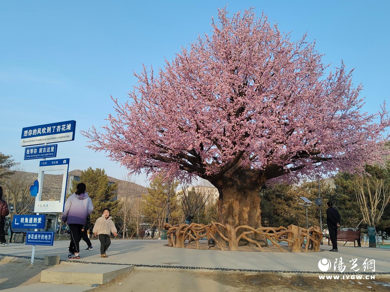 微信图片_20250202102020