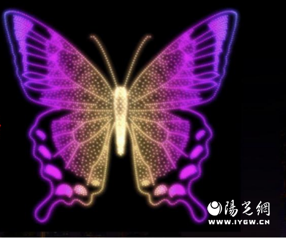 图片2