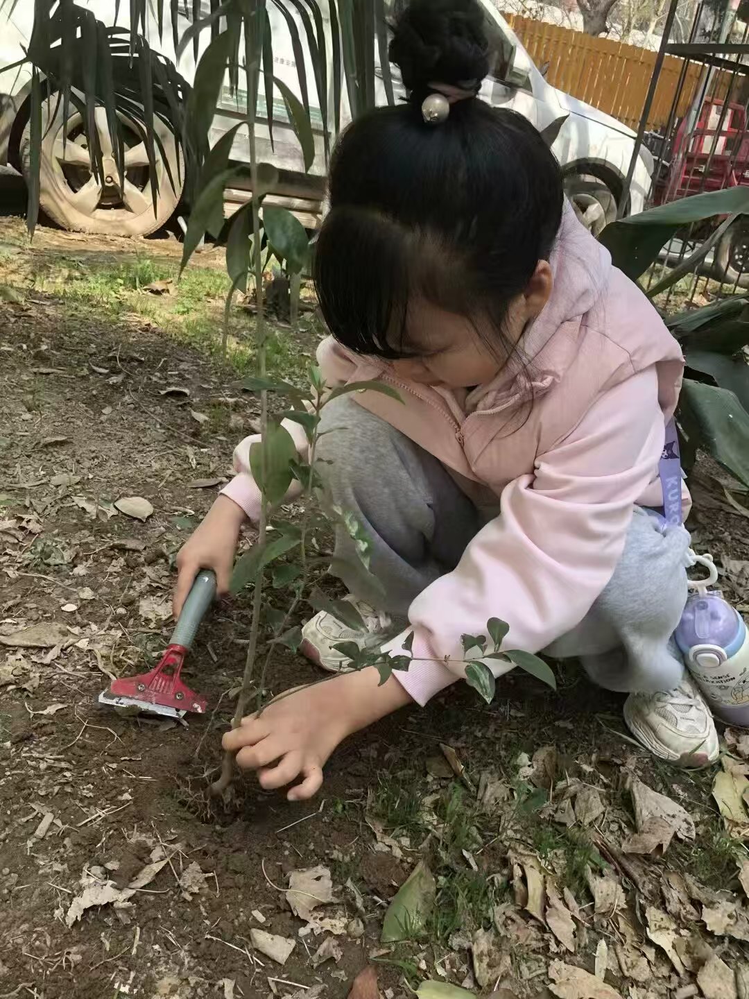 微信图片_20250312141919