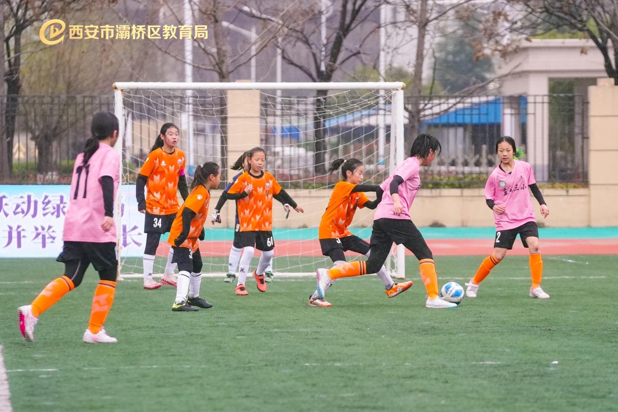 DSC08676-opq3519224550