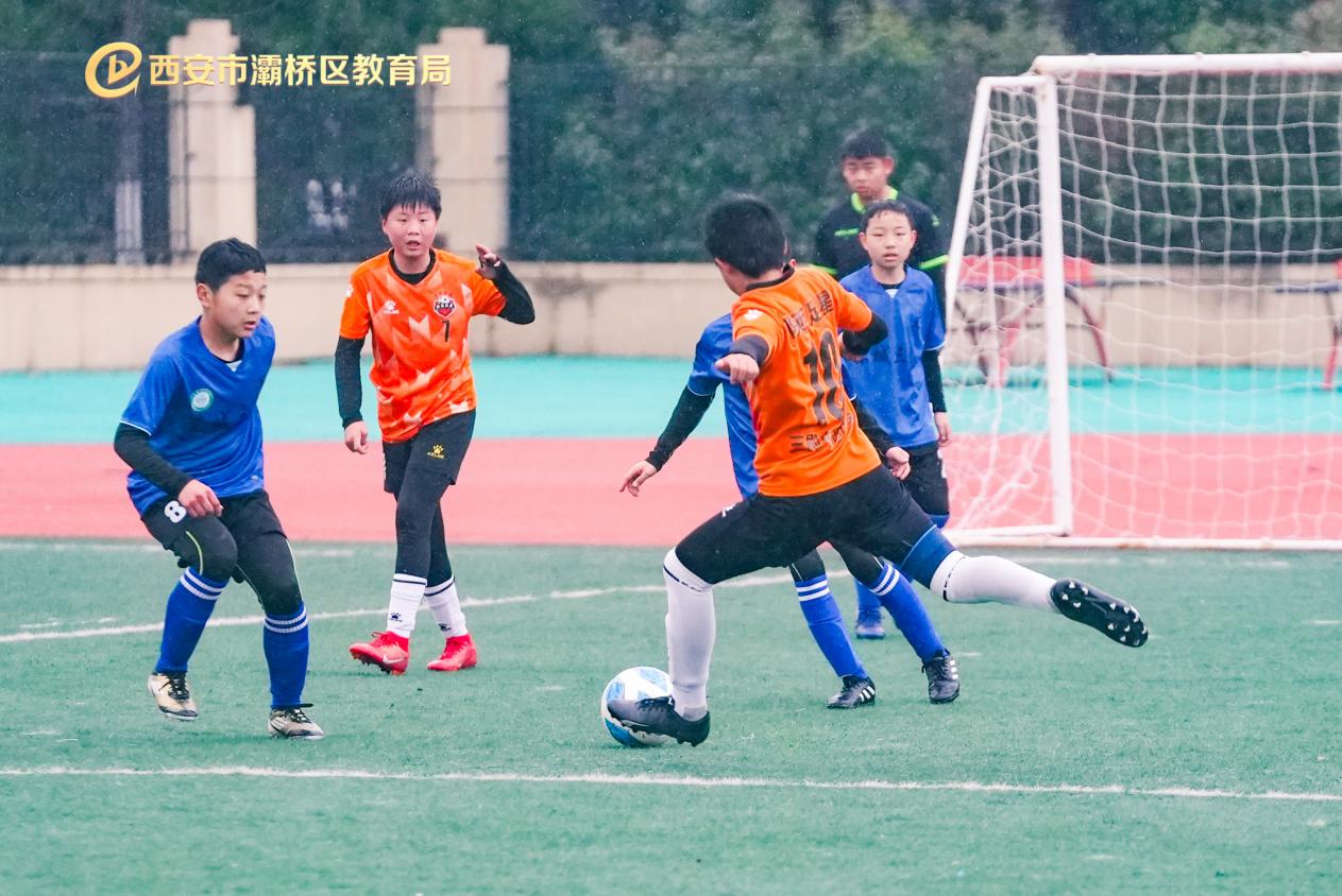 DSC08607-opq3519243445