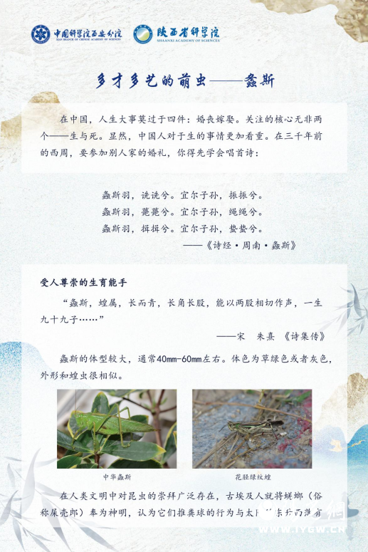 42dc85dee8a7f9ea5f317fccb4e22a19cc311b4f