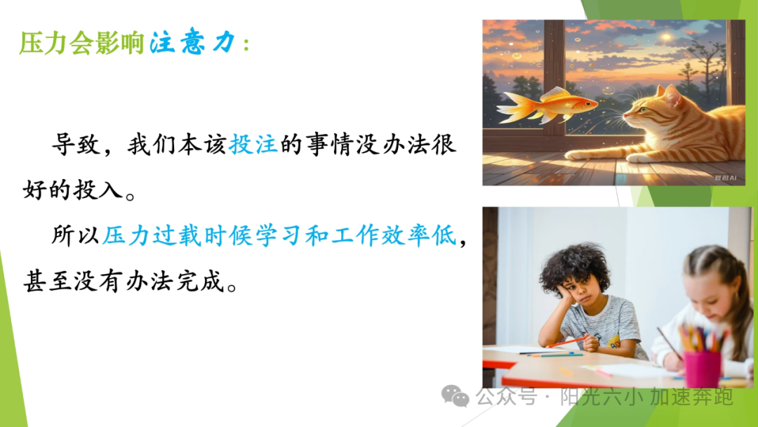 47f522174c4b6891b8189e9efe8fd9caa26f21b0