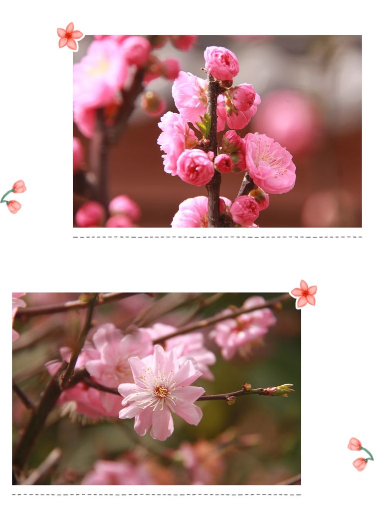 7ca98d351394134f2c5993102db74893a55cdb04