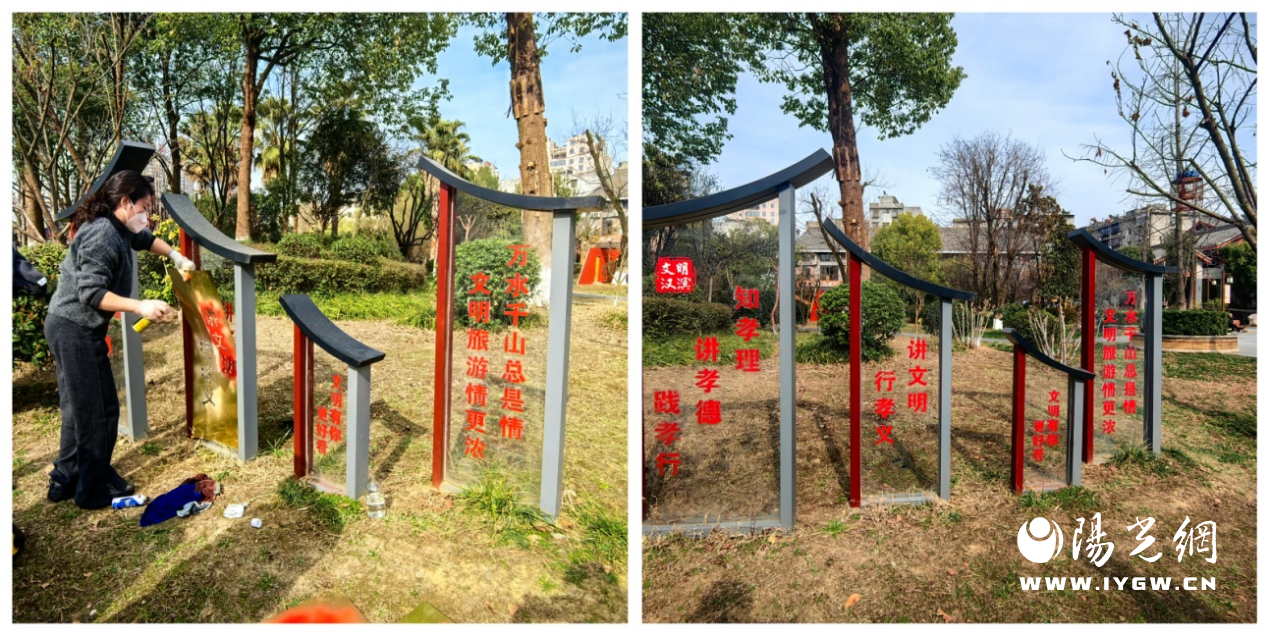 图片12