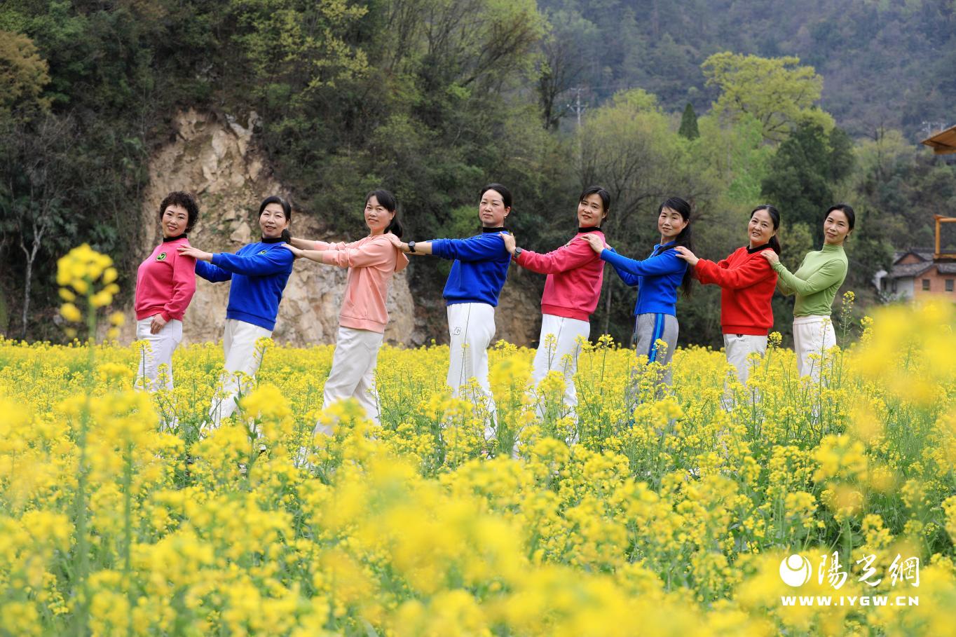 游客在渔湾村油菜花海打卡游览