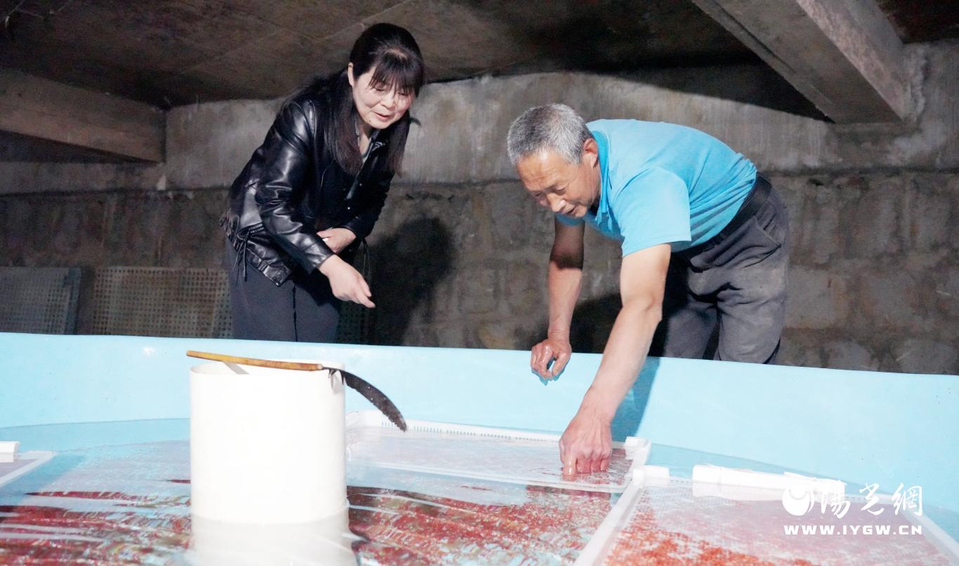 郝家學察看魚苗生長情況
