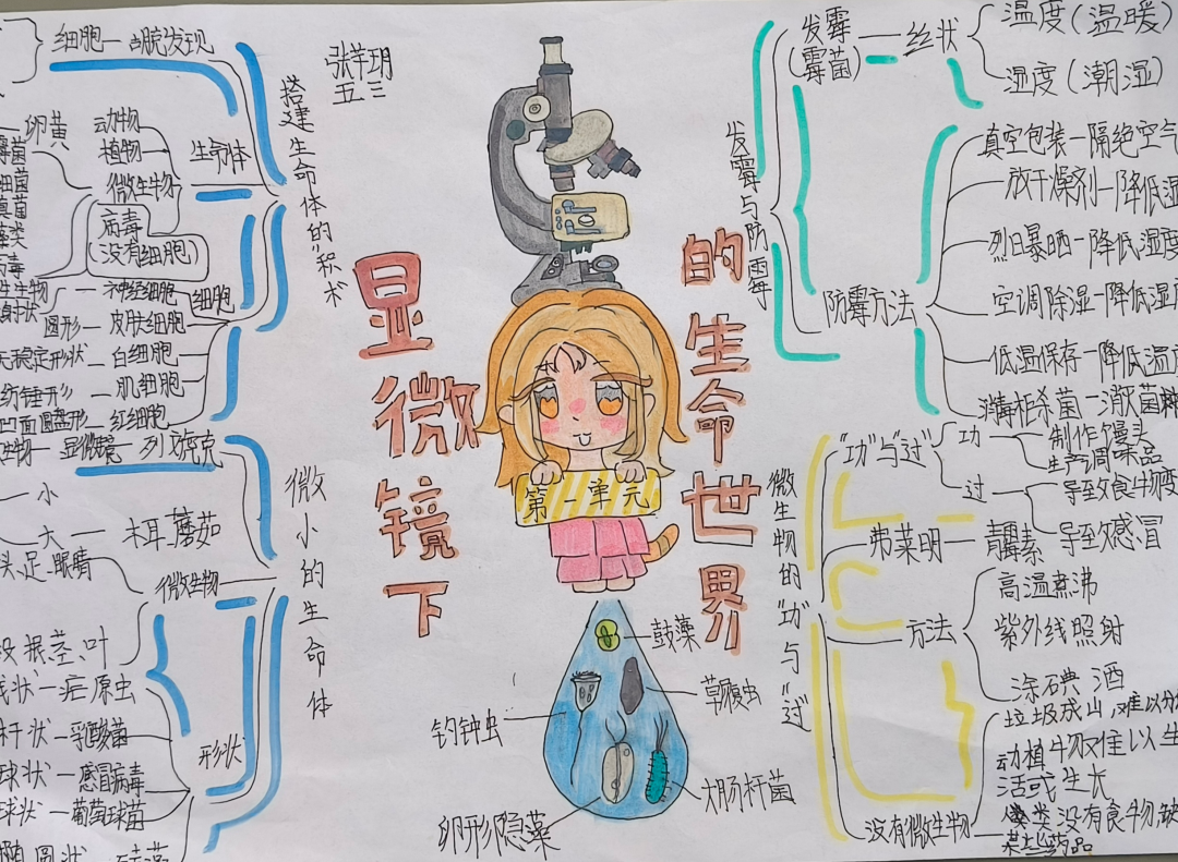 e3aa1a56b260a37b80c8853760370426978e1aa7