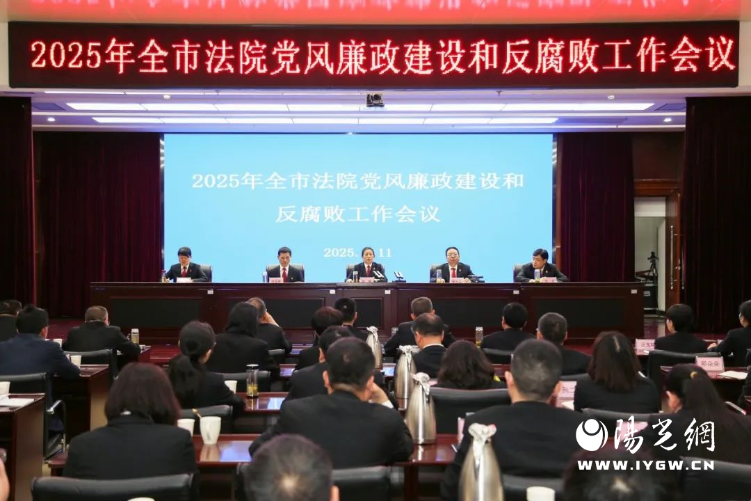图片11