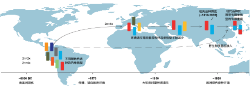 https://news.xjtu.edu.cn/__local/5/DF/67/2E5D2D45D8914FC6AE1B701542D_296CF4B0_D738.png