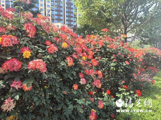 微信图片_20250502170917