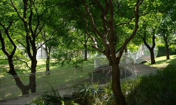 D:\【沣华锦鸣】资料\项目实景照片\锦鸣社区园林照片8.5\0805007.jpg