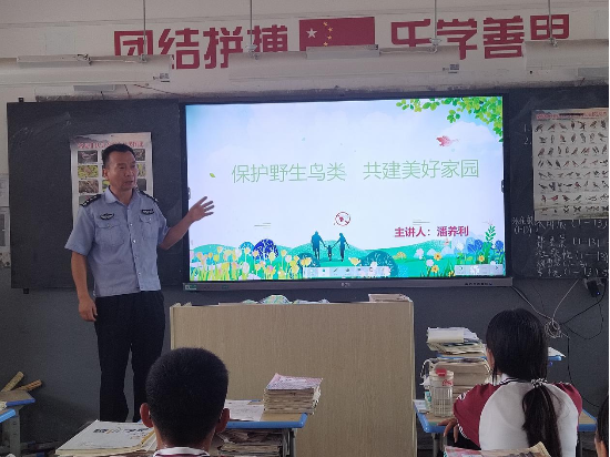 图片1