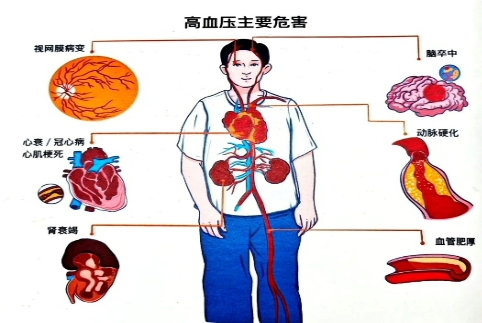 图示

AI 生成的内容可能不正确。