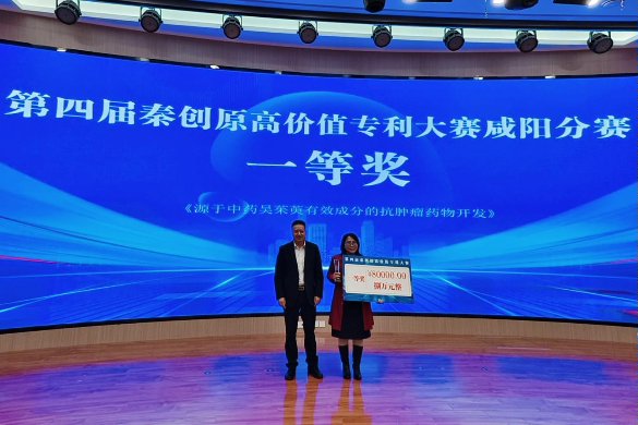知识产权2