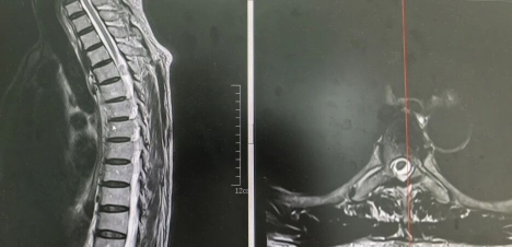 a7e78c2cf8b82c39b1799b2e176cc0cd