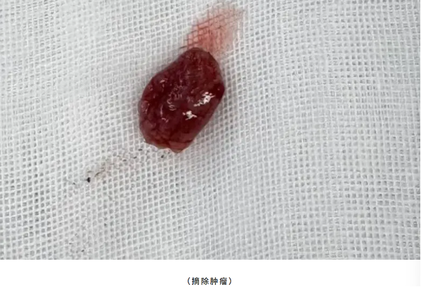 b908b253-6206-46ec-81c4-1667459a4696